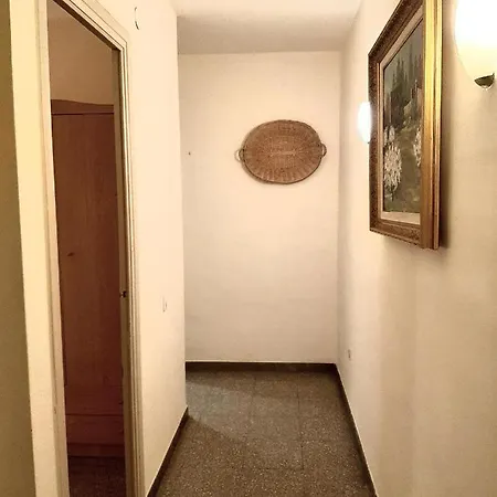 Ambar * טראגונה